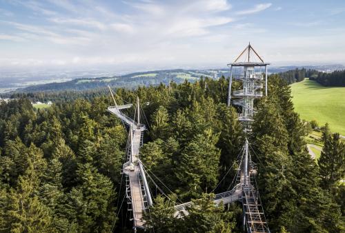 picture skywalk
